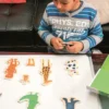 Aimants crazy animaux