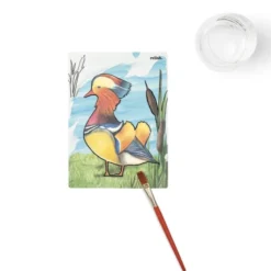 Aquapaint oiseaux magnifiques