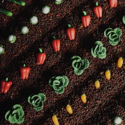 Bouteille sensorielle Learn - Légumes