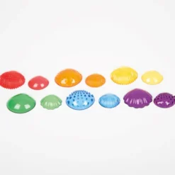Coquillages multicolores tactiles par 108