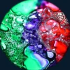 Disques liquides pour projecteurs Opti et Aura - vert/violet/rouge