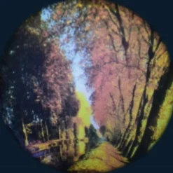 Disques thématiques projecteurs opti - Forêt