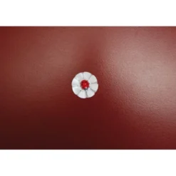 Fleurs à souffler