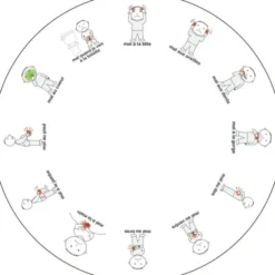 Idéo - ronde des bobos