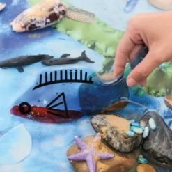 Jelly shapes par 4 - Poissons