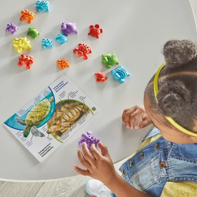 Kit activités mathématiques les tortues tactiles