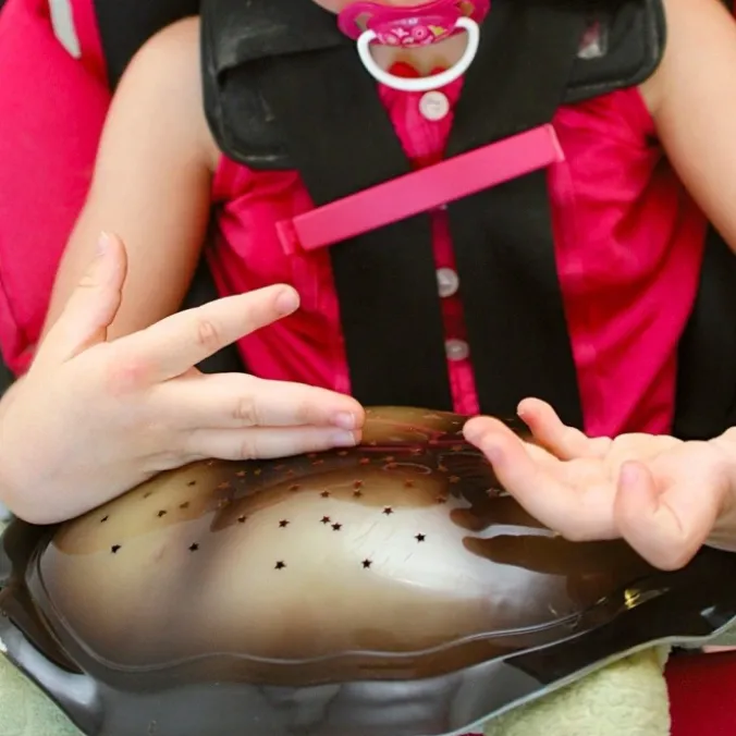 La veilleuse tortue