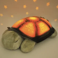 La veilleuse tortue