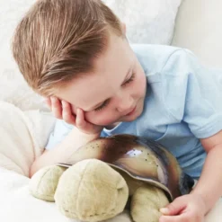La veilleuse tortue