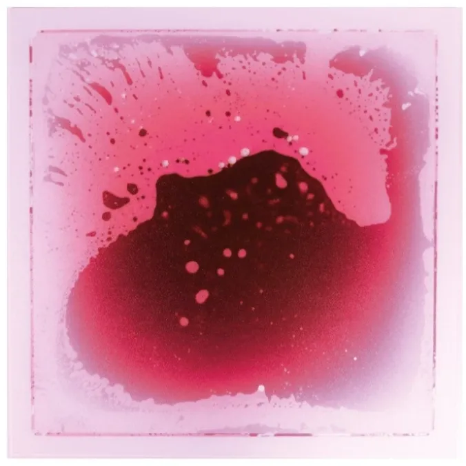 Les plaques sensori-motrices - rouge/rose