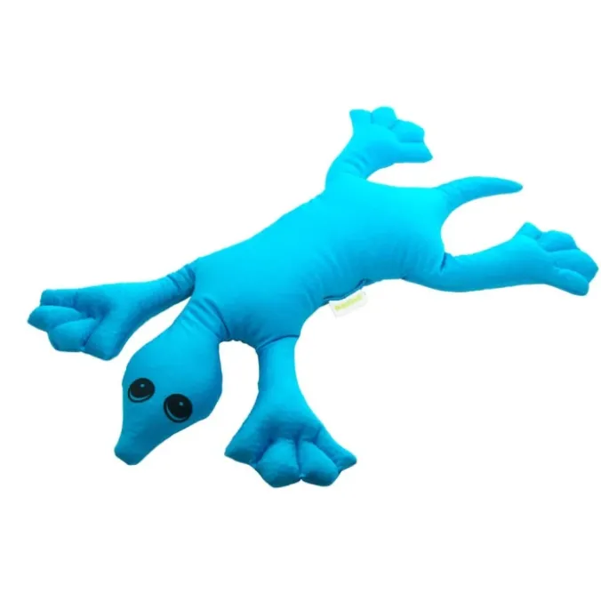 Manimo - Tortue lestée turquoise 2 kg
