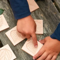 Memo sensoriel feuilles