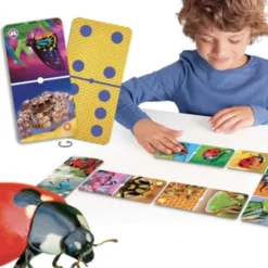 Natu'domino les insectes