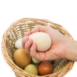 Oeufs sensoriels par 8