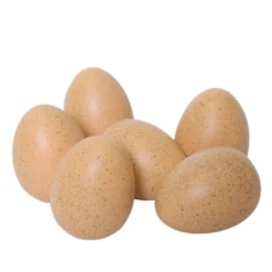 Oeufs sonores par 6