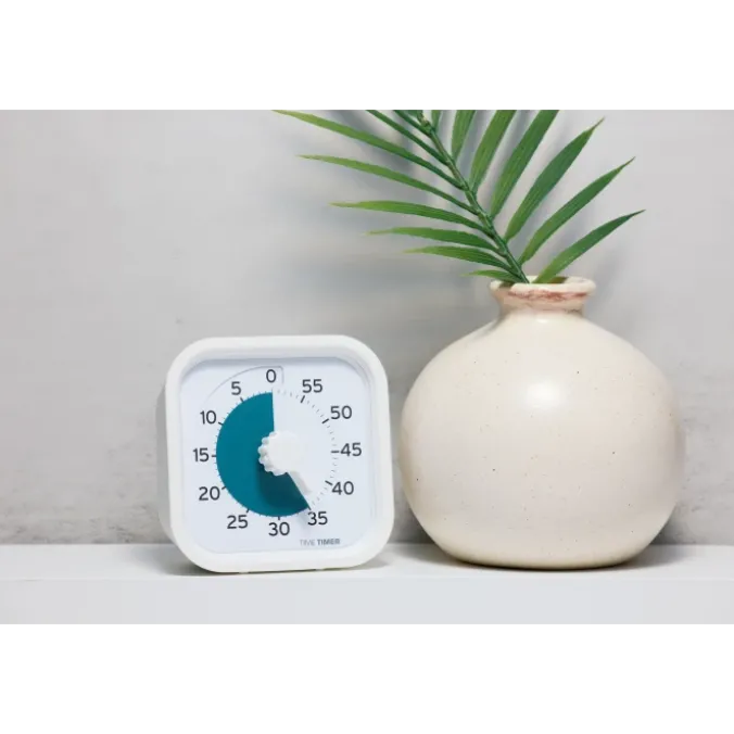 Time Timer PRO Applied
