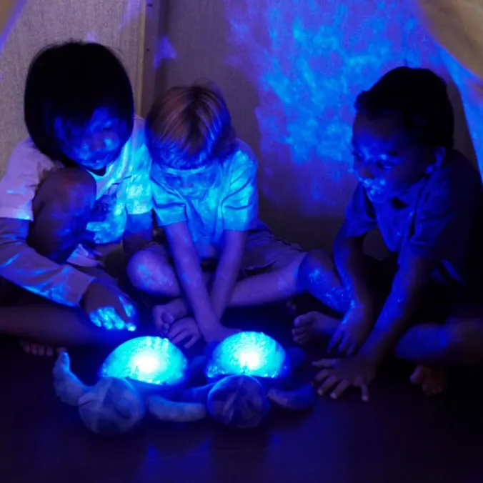 Veilleuse tortue de mer - Rechargeable